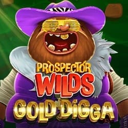 Prospector Wilds_ Gold Digga game screenshot